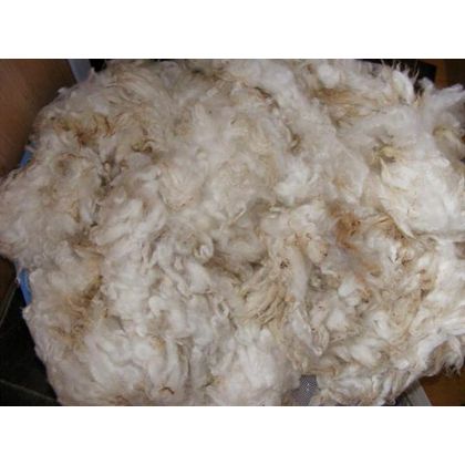 Raw White Cotton Fibre